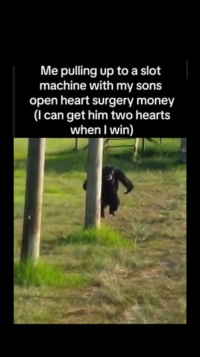 Monke Meme Compilation: Funny Monkey Memes and Gambling Moments