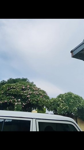 Mary-Therese (@marytherese58)’s videos with original sound - TLO-TLO