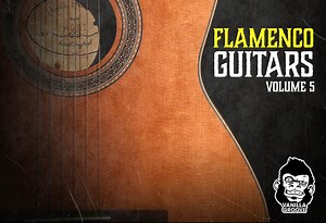 VGS Flamenco Guitars Vol-5 WAV