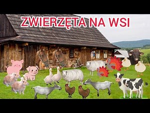 ANIMALS IN THE COUNTRY - presentation, educational film. Why do humans need farm animals?