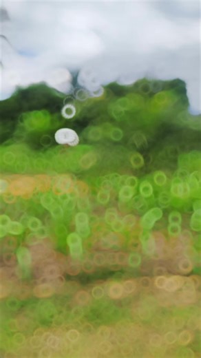 cc max บน TikTok