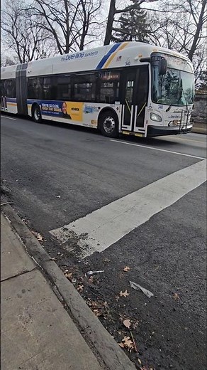 Bee-Line Bus Passing By On East 233rd Street In Wakefield, The Bronx, New York City