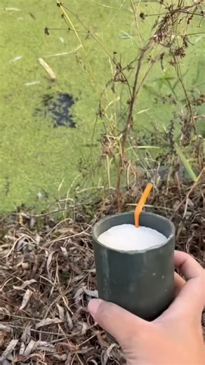 8.7K reactions · 84 comments | Cracker Vs Pond #crackers #firecrackers #fireworks #fireworksdisplay #Fireworks2025 #experiment #usareels #usa #FacebookReelsContest #short #creatormonetizationinvitation | Fireworks Videos | Facebook