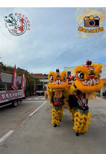 Lion Dance Celebration in Singapore: BTS Highlights
