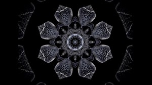 Les Fractales des oeuvres de thierry Ehrmann