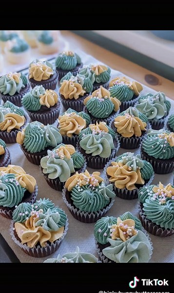 I use ermine buttercream for all my cakes! #cakedecorating #cakedesign #cupcakes #caketok #buttercream #smallbusiness