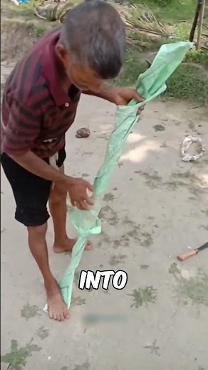 Easy Rope Trick to Climb Tall Trees#tree