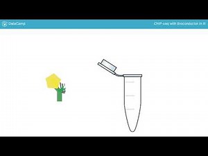 R Tutorial: What is ChIP-seq?