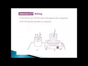 Science grade5(Activity book)