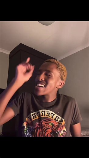 Exploring South African Music Awards Insights