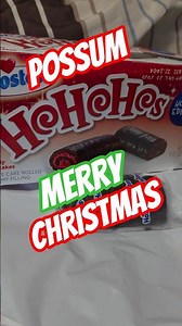 Unprotected HoHo's and Ding Dong's IN THE MAIL #christmas #music #strangeluck #fun #funny