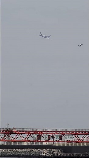 ANA 羽田空港 離陸｜国内線ジェット機の力強い上昇シーン