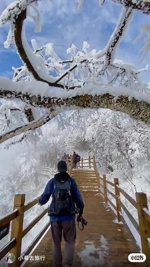 9.5K views · 132 reactions | Winter at Mount Fanjing❄️❄️ : credit to 小红书 @小希去旅行 | HiChina Travel | Facebook