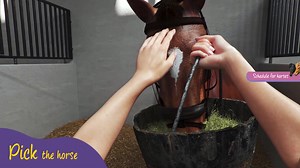 282K views · 1K reactions | Animal Trainer Simulator on Steam! NEW VIDEO GAME  Wishlist now!   https://store.steampowered.com/app/2199860/Animal_Trainer_Simulator/ Become an animal trainer and open your own animal training center!  Your job is to build, design, and run your own Training Center with various types of animals. 瑩 Create the perfect space to make your pupils feel safe and happy.  | Games Incubator | Facebook