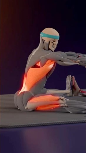 Day 2 -- The ONLY Beginner Body Workout You Need 🔥🔥 #fitness #shorts