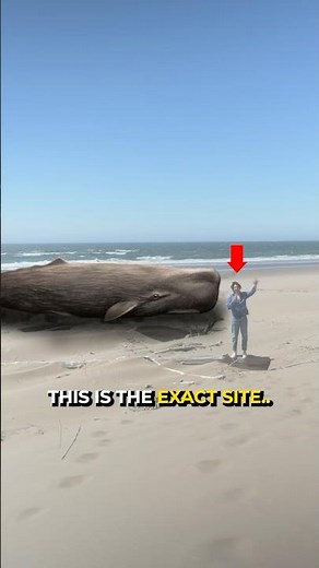 I Investigated the Exploding Whale Incident 🐳🤯
