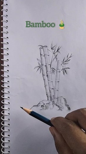 Bamboo tree Drawing 🎍|| #drawing