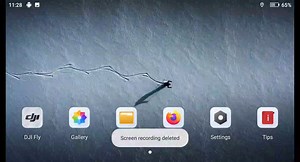 How to change the system language of DJI RC Pro 2/DJI RC 2/DJI RC Pro/DJI RC?