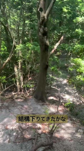 『三池岳・釈迦ヶ岳40』2026年6月11日#ソロ登山 #japan #トレッキング #yamap #鈴鹿山脈 #mountaineering #trekking #山が好き #nature #林道