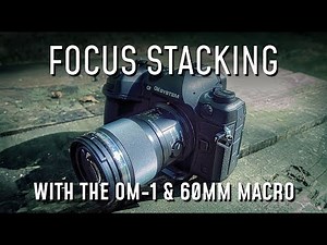 Focus Stacking With the OM-1 Mk2 and M.Zuiko 60mm Macro Lens