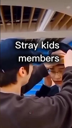 😻Stray Kids members' English names😻 #StrayKids #Bangchan #LeeKnow #Changbin #Hyunjin #Hanjisung