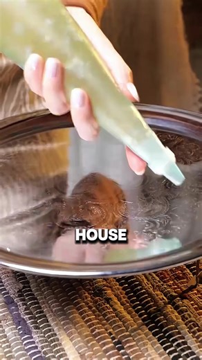 I broke into my neighbor's house andbeat him with a flashlight.#askreddit#LearnOnTikTok#reddit