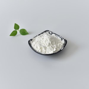 [Hot Item] Chlorine Dioxide CAS 10049-04-4 Clo2