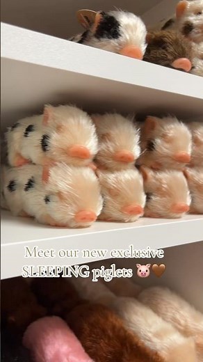 www.loulaslittlenursery.co.uk 🐷🤎 #pig #micropig #piglet #babypig #minipig #animals #farm #silicone