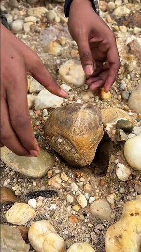 “Opening a White Crystal Geode with Gold Minerals Inside 💎✨ (Natural Reveal)”