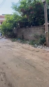 TERRAIN A VENDRE A NGOR/ALMADIES Terrain de 572 m2 titre foncier individuel très bien situé idéal pour un projet immobilier derrière Chez Katia Prix : 400 millions Fcfa Locadakar altaisafrica@gmail.com ( 221)775555570(whatsapp) www.locadakar.com | Loc a Dakar