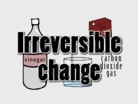 Exploring Reversible and Irreversible Changes