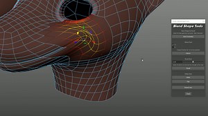 Demo Script For BlendShape