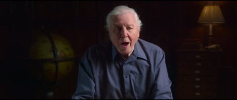 Ocean with David Attenborough: Official Trailer
