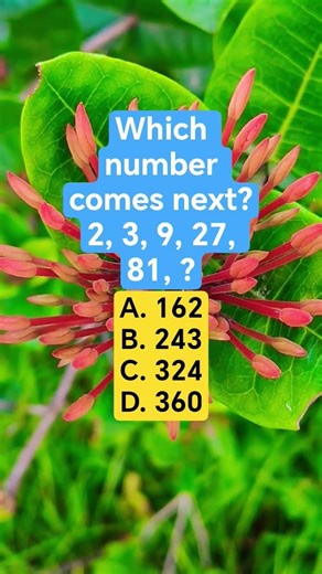 Which number comes next?2, 3, 9, 27, 81, ?