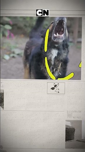 نباح، مسؤولية، ذكاء ✨ أي كلب يمكن أن يصبح بطلاً! سوبر مان ⚡ | كرتون نتورك