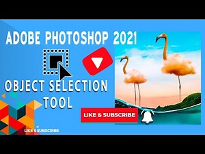 How to use object selection tool adobe Photoshop 2021