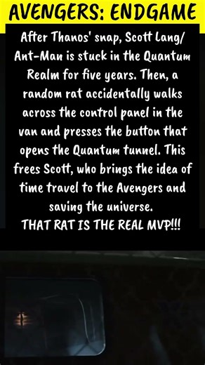 The Rat That Saved the Universe in Avengers: Endgame 🐀 (Real MVP!)