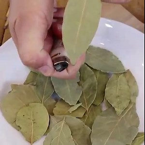 11M views · 190K reactions | See what happens when you burn LAUREL LEAVES in your home! | My Tips Book | Facebook