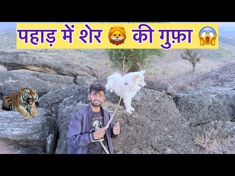 हमने देखी पहाड़ पर शेर की गुफ़ा 🦁| bewithlokesh