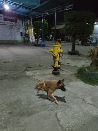 Seal Prank with KyleAndrex