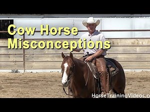 Cutting Horse & Cow Horse Misconceptions