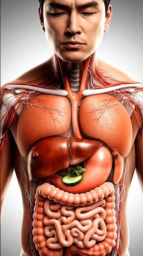 The Power of Raw Vegetables: Unlocking Natural Nutrition for a Healthier Body”#anatomy #health