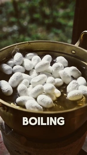 From Silk to This?! The Process Is Insane