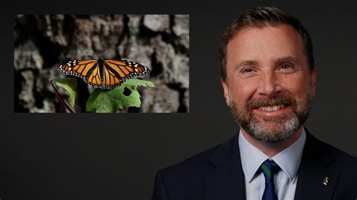 Watch a professor explain the evolutionary war that gave us caffeine - Berkeley News