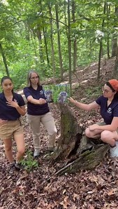 95K views · 5.1K reactions | Winona has completed her molt! Molting...