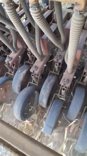 Sowing winter rye with our haybuster 107 no till drill!