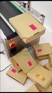 Automatic box double sides labeling machine,box top and bottom label sticker machine