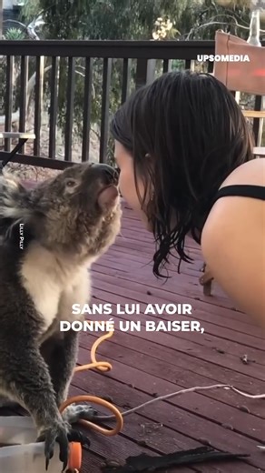 Elle était à la piscine lorsqu'elle a vu un koala s'approcher d'elle pour boire de l'eau. Elle n'aurait jamais imaginé le moment incroyable que l'animal allait lui offrir. Crédit : Lilly Pilly | Formidable