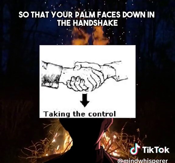 Book ln Blo. handshake meanings : dominance, submission, equality. #bodylanguage #johanliebert #manipulated #manipulation #manipulationtactic #manipulationtechniques #darkpsychology #psychology #viral #fypシ