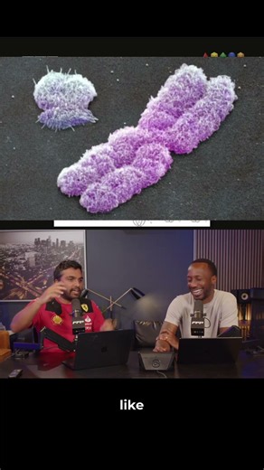Y Chromosome: A Tiny Legacy #shorts